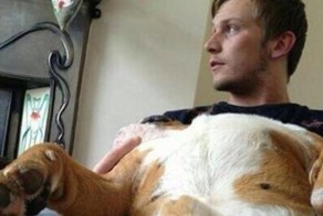 В этих картинках - все безумие нашего мира!