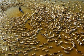 Фотоподборка за 26.09.2016