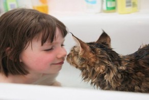 Кошка помогла больной аутизмом девочке научиться взаимодействовать с людьми