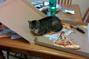 Фотоподборка за 28.09.2016