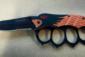 Смертельное оружие, которое пытались провезти в самолете