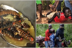 Как живёт одна из беднейших стран мира — Центральноафриканская Республика