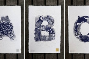 Иллюстратор, вдохновившись флорой и фауной, создала необычный латинский алфавит