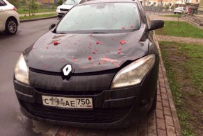 В припаркованное на тротуаре авто прилетел арбуз