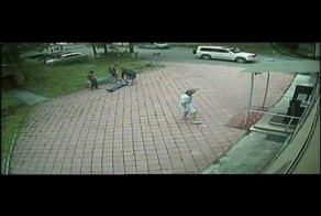 В отместку за гибель кошки, хозяин набросился на врачей ветклиники