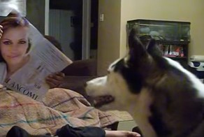 Пёс, который боится Джулию Робертс
