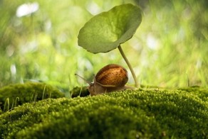 Затерянные миры: лучшие фотографии, представленные на фотоконкурсе Hidden Worlds