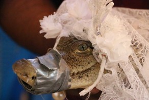 Самые сумасшедшие и неадекватные браки