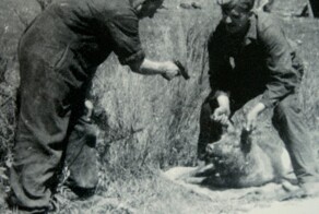 Немецкий офицер допросил представителя УПА