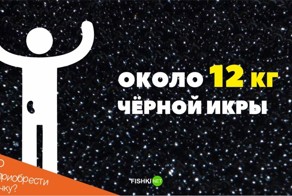 Что можно приобрести на одну почку?