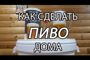 Как сделать ПИВО дома