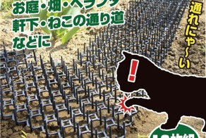 Шипы против котиков: полный провал