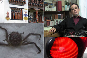 Подборка безумных фактов, которые очень похожи на ложь