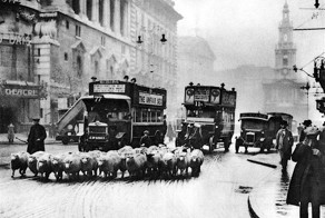 Шерстяные газонокосилки