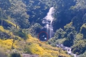 Неизвестное существо, похожее на йети, снято видеокамерой в Индонезии