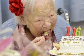 13 невероятных фактов о Японии