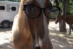 Смешной фотоприкол