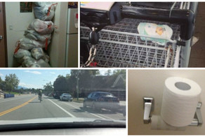 Люди и ситуации, которые просто нереально бесят