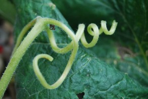 Крутые фотки