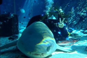 Смешная фотогалерея