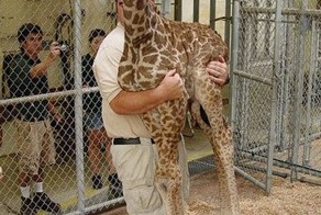 Свежий фотоприкол