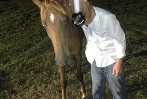 Прикольные фото