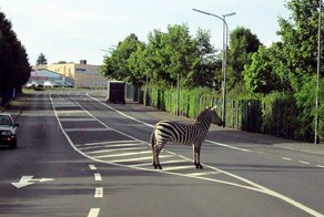 Смешные рисунки