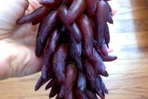 Фото онлайн