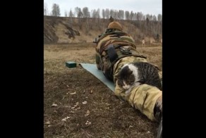 Иногда в учениях участвуют не только люди, но и коты! 