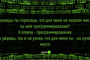 Особенности жизни типичного программиста