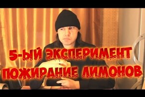 Экперимент по пожиранию лимонов