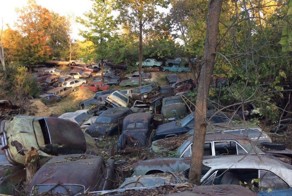 Бывшая автомобильная разборка скоро пойдет под пресс