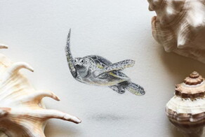 Миниатюрные зарисовки Shawnalee Anderton