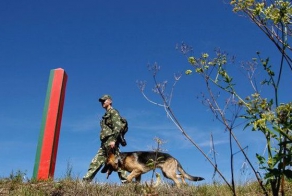 История щенят, будущих защитников границы (17 фото)