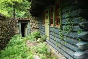 Необычный заброшенный дом в лесу (46 фото)