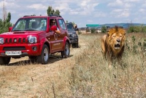 Крымское сафари (22 фото)