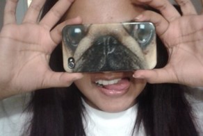 Фотоприкол дня