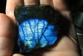 Новый фотоприкол