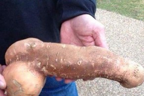 Не порно, но задорно: эти продукты ведут себя просто неприлично!