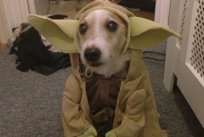 Фотоподборка