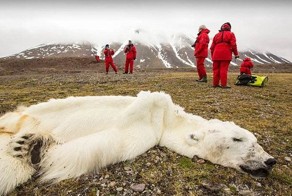 Наглядное доказательство глобального потепления (3 фото)