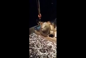 Кто не работает, тот ест!