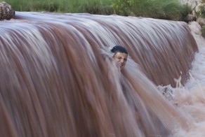 Прикол картинка