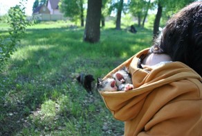 Смешные картинки