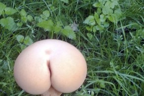 Бугагашеньки