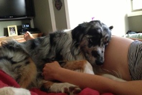 Фото онлайн