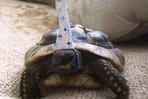 Красивые фото