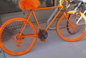 Смешная фотогалерея