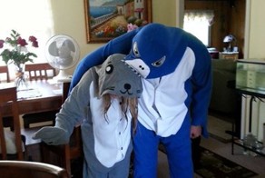 Смешная фотогалерея