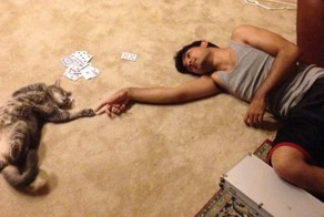 Фотоприкол